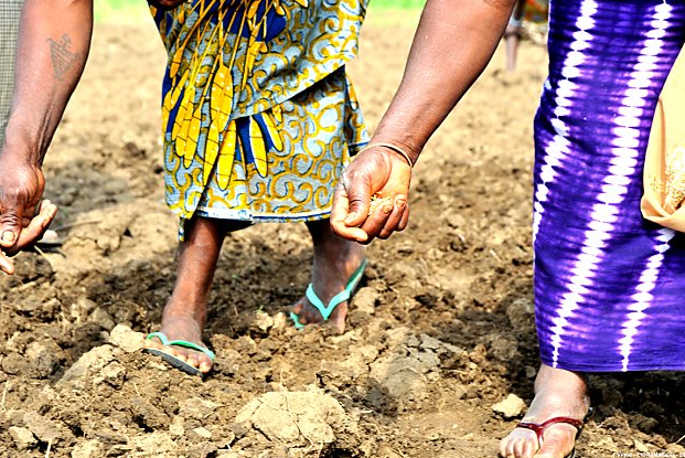 F.E.D.E. illustration