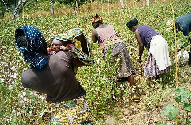 Projet en Afrique - FEDE